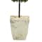4ft. Boxwood Double Ball Topiary Tree in Country White Planter